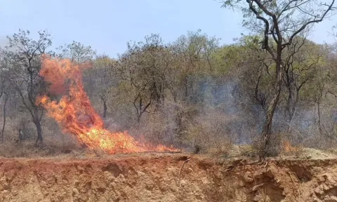 தருமபுரி அருகே வனப்பகுதியில் திடீரென பற்றி எரிந்த காட்டு தீ
