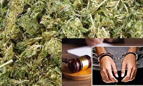 ஆந்திராவில் இருந்து ஆட்டோவில் கடத்திய 3 கிலோ கஞ்சா பறிமுதல்