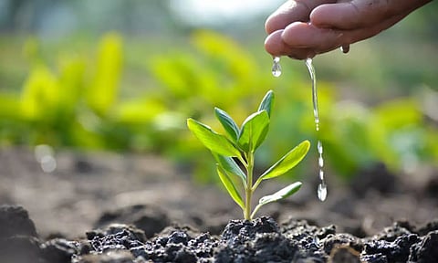 துப்பாக்கி லைசென்ஸ் வேண்டுமா, 10 மரக்கன்று நடவேண்டும்: மதுரா கலெக்டரின் நூதன உத்தரவு