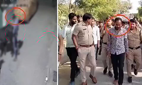 VIDEO: பசுக்களுடன் இயற்கைக்கு மாறான உடலுறவு - 2 பேர் கைது