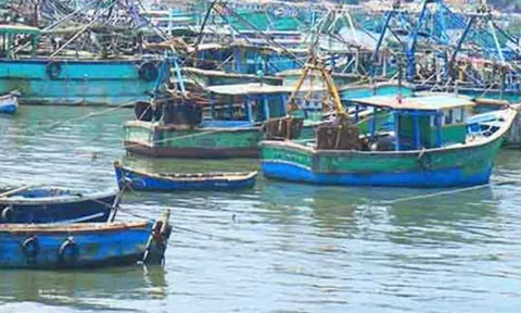 மீன்கள் இனப்பெருக்கத்துக்காக வருகிற 15-ந்தேதி முதல் மீன்பிடி தடைக்காலம் தொடங்குகிறது
