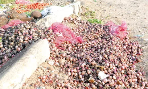 நொய்யல் ஆற்றில் கொட்டப்படும் பெரிய வெங்காயம்