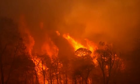 நியூ ஜெர்சியில் 20 ஆண்டில் இல்லாத பயங்கர காட்டுத்தீ: முக்கிய நெடுஞ்சாலைகள் மூடல்