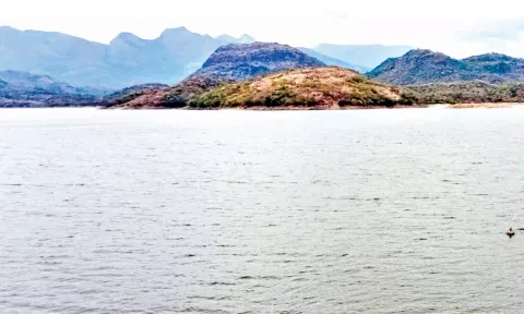 அமராவதி அணையில் சரியும் நீர்மட்டம்- குடிநீர் தட்டுப்பாடு ஏற்படும் அபாயம்