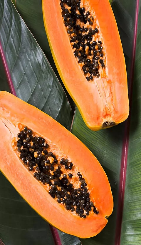 பப்பாளி சாப்பிடுவதால் கிடைக்கும் நன்மைகள் '7'