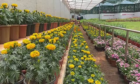 கோடை சீசனை முன்னிட்டு 35 ஆயிரம் தொட்டிகளில் பூத்து குலுங்கும் மலர்கள்: சுற்றுலா பயணிகள் உற்சாகம்