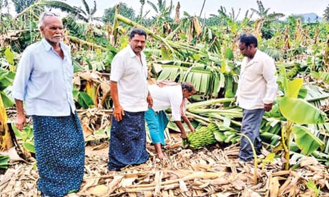 ஆந்திராவில் சூறாவளி காற்றுடன் பலத்த மழை: இடி, மின்னல் தாக்கி 8 பேர் பலி