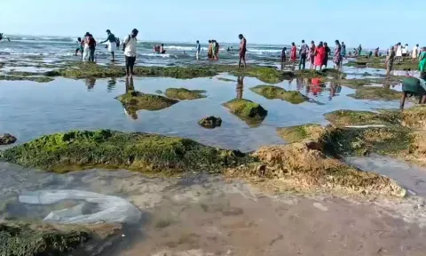 திருச்செந்தூரில் 2-வது நாளாக கடல் 60 அடி தூரம் உள்வாங்கியது