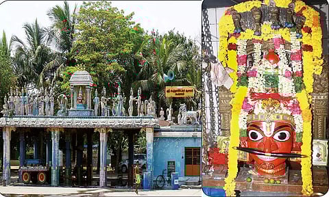 கூவாகம் கூத்தாண்டவர் கோவில் தேரோட்டம் நாளை நடக்கிறது