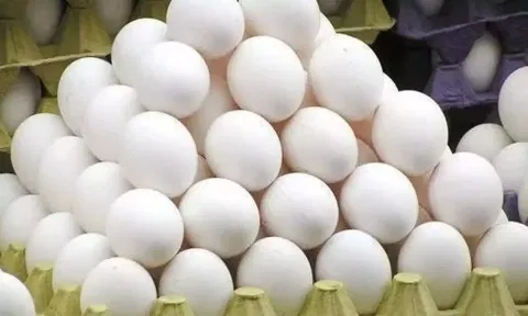 நாமக்கல் மண்டலத்தில் முட்டை விலை உயர்வு