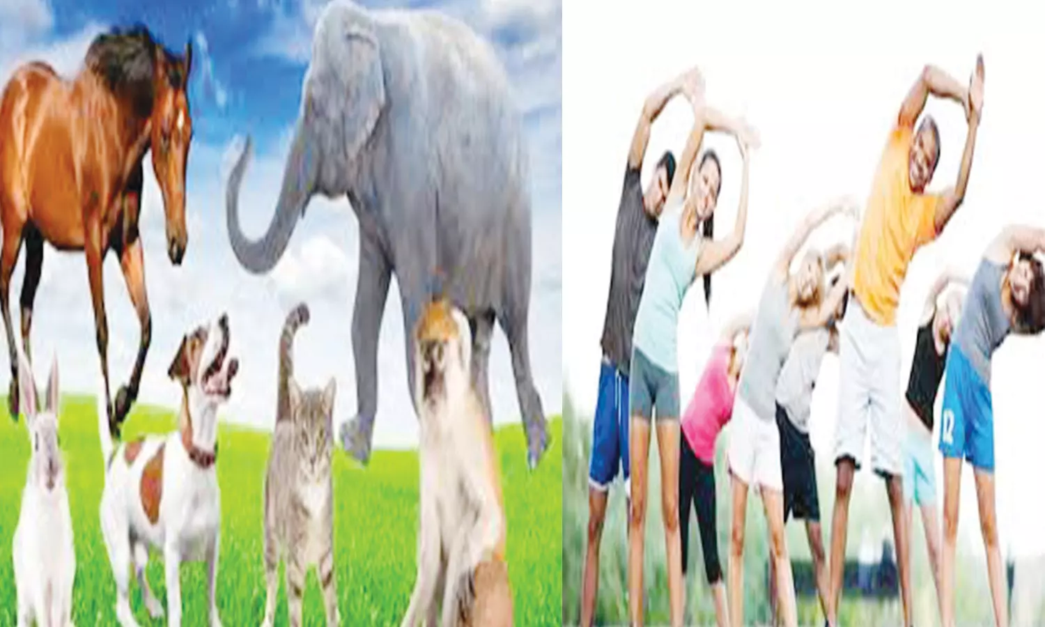 பெருமை பேசுவதை தவிர்த்திடுங்கள்!