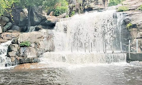 உடுமலை பஞ்சலிங்க அருவியில் சுற்றுலா பயணிகள் குளிக்க தடை