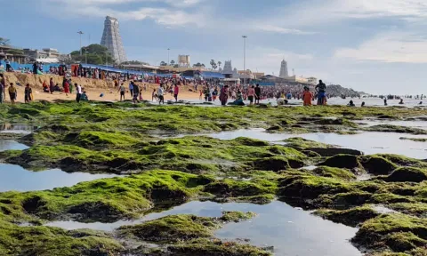 திருச்செந்தூர் கடல் 60 அடி உள்வாங்கியது