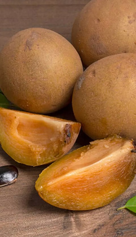 சப்போட்டா பழத்தில் உள்ள சத்துகள்