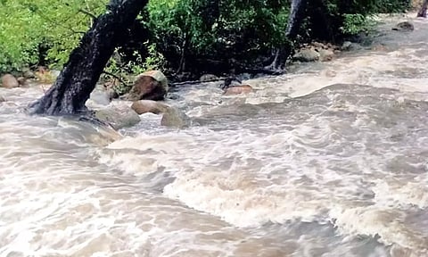 மேற்கு தொடர்ச்சி மலையில் கனமழை: களக்காடு தலையணையில் குளிக்க தடை