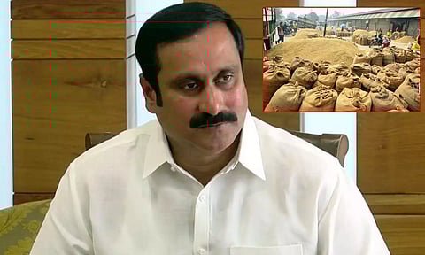 ரூ.800 கோடி நெல் கொள்முதல் மோசடி: தனியார் நிறுவனத்தை அனுமதித்தது யார்?- சி.பி.ஐ. விசாரணைக்கு உத்தரவிட அன்புமணி வலியுறுத்தல்