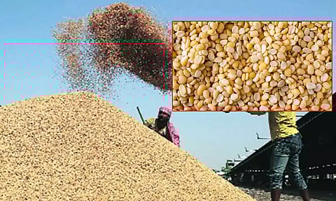 நெல் உள்பட 14 பயிர்களுக்கான குறைந்தபட்ச ஆதரவு விலையை உயர்த்தி வழங்க மத்திய அமைச்சரவை ஒப்புதல்