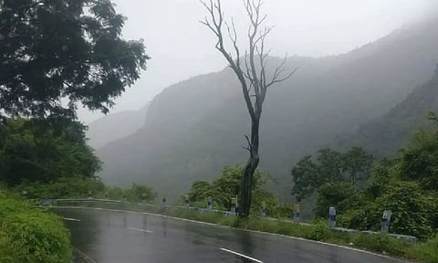 நீலகிரி மாவட்டத்திற்கு மீண்டும் ரெட் அலர்ட்- சுற்றுலா தலங்கள் மூடல்