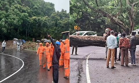 ஊட்டி-கூடலூர் சாலையில் நிலச்சரிவு அபாயத்தால் வாகனங்களுக்கு கட்டுப்பாடு