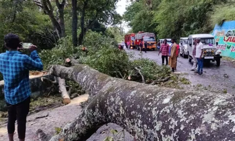 கொட்டி தீர்த்த கனமழை - பொள்ளாச்சி, நெகமத்தில் 4 வீடுகள் சேதம்