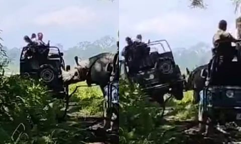 VIDEO: தேசிய பூங்காவில் சுற்றுலா பயணிகள் ஜீப்பை கவிழ்க்க முயன்ற காண்டாமிருகம்.. திக் திக் நொடிகள்