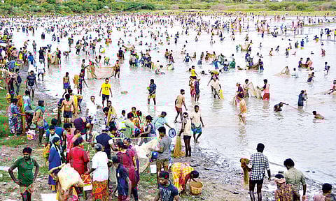 மேலூர் அருகே திருவாதவூரில் ஆயிரக்கணக்கானோர் பங்கேற்ற சமத்துவ மீன்பிடி திருவிழா