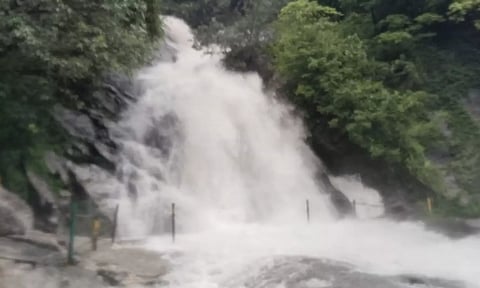 கோவை மாவட்டத்தில் அணைகளில் நீர்மட்டம் கிடுகிடு உயர்வு- குற்றாலம், கவியருவியில் வெள்ளப்பெருக்கு