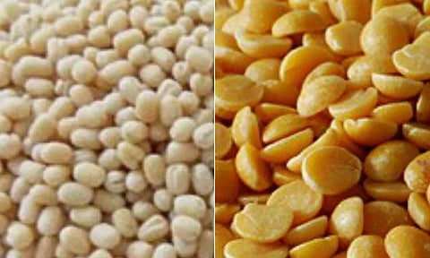 பருப்பு வகைகள் கிலோவுக்கு ரூ.20 வரை சரிவு