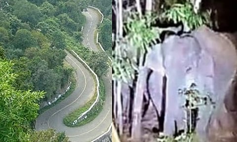 திருப்பதி மலைப்பாதையில் காட்டு யானைகள் அட்டகாசம்- பக்தர்கள் வாகனங்களை நிறுத்தியதால் பரபரப்பு