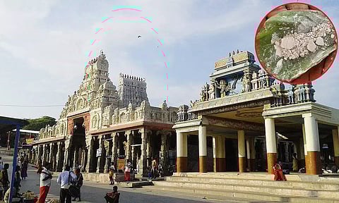 தீராத நோய்களை தீர்க்கும் அருமருந்து இலை விபூதி