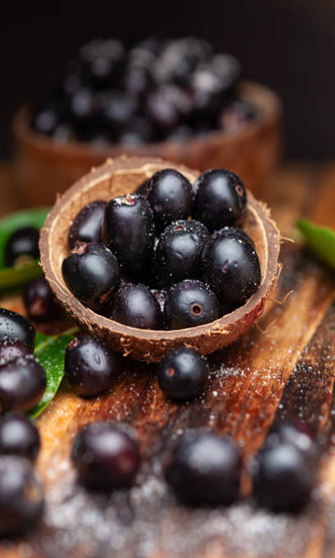 நாவல் பழத்தின் மகத்தான மருத்துவ குணங்கள்