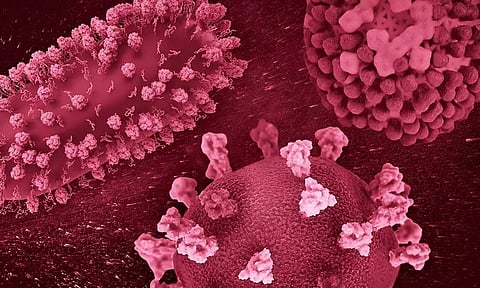 தமிழகத்தில் 'நிபா' வைரஸ் இல்லை- பொது சுகாதாரத்துறை தகவல்