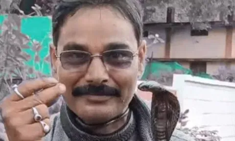 ரீல்ஸ் மோகம்... கொடிய விஷமுள்ள நாகத்தை கழுத்தில் போட்டு சுற்றிய பாம்புபிடி வீரர் உயிரிழப்பு