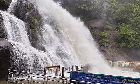 குற்றால அருவிகளில் கடும் வெள்ளப்பெருக்கு- சுற்றுலா பயணிகள் குளிக்க தடை