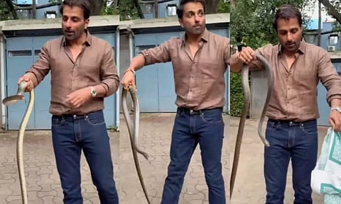 வீட்டு வளாகத்திற்குள் நுழைந்த பாம்பை வெறும் கையால் பிடித்த நடிகர் சோனு சூட் - வீடியோ வைரல்