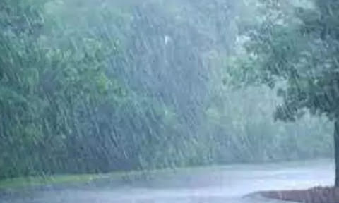 ஏற்காட்டில் தொடரும் சாரல் மழையால் பனி மூட்டம்  -  கடும் குளிர்