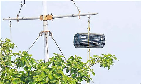 பாம்பனில் ஒன்றாம் எண் புயல் கூண்டு ஏற்றம் - மீனவர்களுக்கு எச்சரிக்கை
