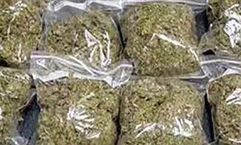 வடமாநிலங்களில் இருந்து கஞ்சா கடத்தல்: ஈரோடு வழியாக வந்த ரெயிலில் 6.50 கிலோ; மாநகரில் 3.50 கிலோ கஞ்சா பறிமுதல்