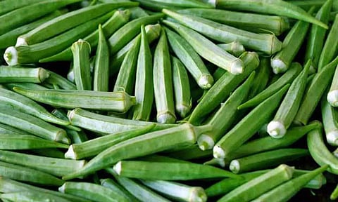 ரத்த அழுத்தம், நீரிழிவு நோயை கட்டுப்படுத்தும் வெண்டைக்காய்- இருதய நிபுணர்கள் தகவல்