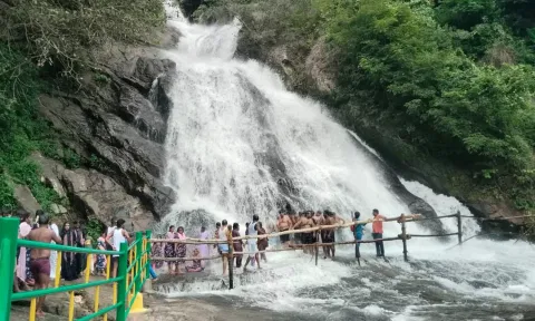 10 நாட்களுக்கு பிறகு திறப்பு - பொள்ளாச்சி கவியருவியில் குவிந்த சுற்றுலாப் பயணிகள்