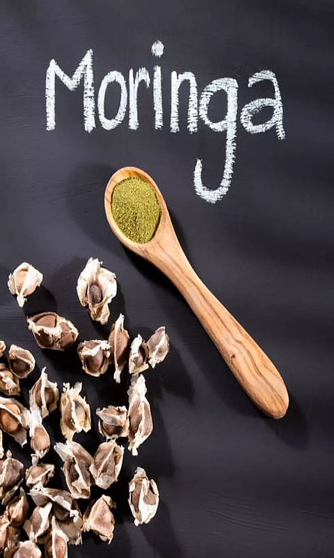 முருங்கை விதையில் இவ்வளவு நன்மையா?