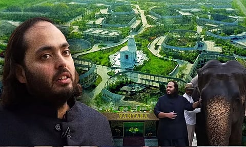 வனவிலங்குகள் மீட்பா?.. கடத்தலா?.. மர்ம தேசமாக மாறும் ஆனந்த் அம்பானியின் 'வந்தாரா' உயிரியல் பூங்கா!