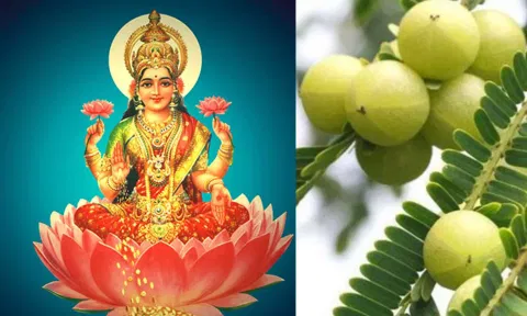 லட்சுமியும் நெல்லி மரமும்