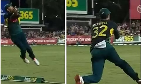 தனி ஆளாகப் போராடிய ரிக்கல்டன்: பாய்ந்து பிடித்த மேக்ஸ்வெல் கேட்ச்-வைரலாகும் வீடியோ