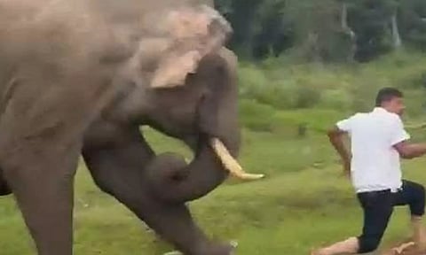 புகைப்படம் எடுக்க வந்த சுற்றுலா பயணியை துரத்தி தாக்கிய காட்டு யானை: முதுமலை அருகே பரபரப்பு