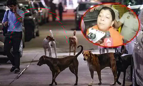 தெரு நாய்களை காப்பகங்களில் அடைக்கும் உத்தரவை கண்டித்து விலங்கு நல ஆர்வலர்கள் போராட்டம்