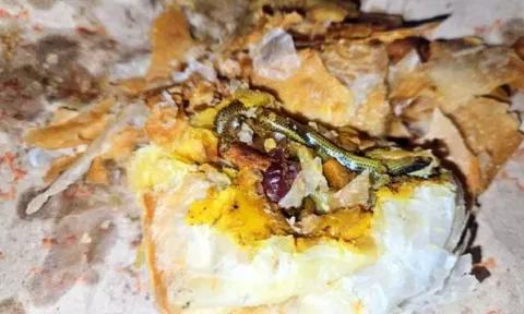 VIDEO: பிள்ளைகளுக்காக வாங்கிய பப்ஸ்-இல் கிடந்த பாம்பு - அதிர்ச்சியில் உறைந்த பெண் - பேக்கரி மீது புகார்