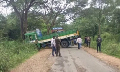 யானை துரத்தியதால் பள்ளத்தில் பாய்ந்த லாரியை மீட்கும் காட்சி.
