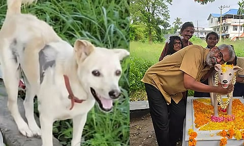 தெருநாய்க்கு சிலை வைத்த பொதுமக்கள் - கேரளாவில் நெகிழ்ச்சி சம்பவம்