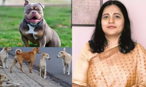 'பிட் புல்' நாய் கடித்த விவகாரம்: தெரு நாய் பிரச்சனைக்கு தீர்வு சொன்ன நடிகை வினோதினி